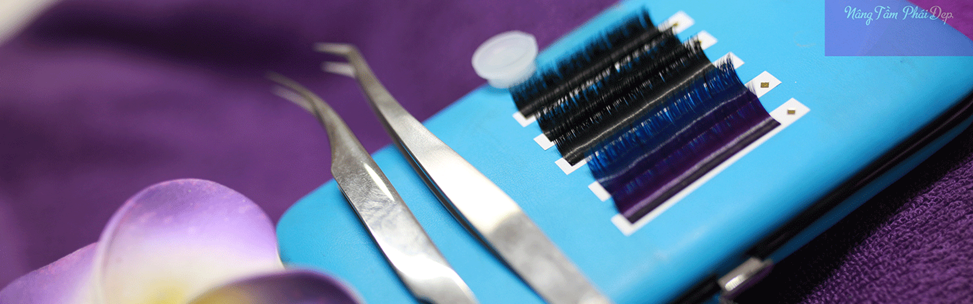 CHUYÊN CUNG CẤP MI NỐI CHUẨN QUỐC TẾ